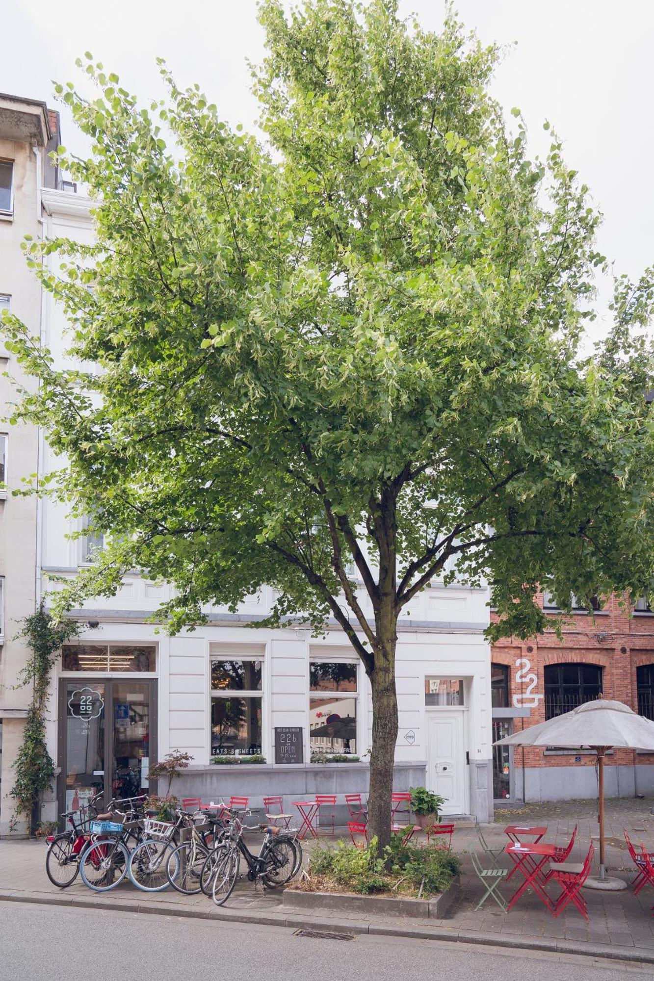 22B&B Antwerpen Bagian luar foto